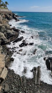 2024-01-Paseo_Costa_Canaria-San_Agustin-Ingles-105.jpg